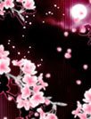 浪漫樱花温馨版[GO桌面主题]