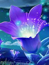 星际花朵动态壁纸
