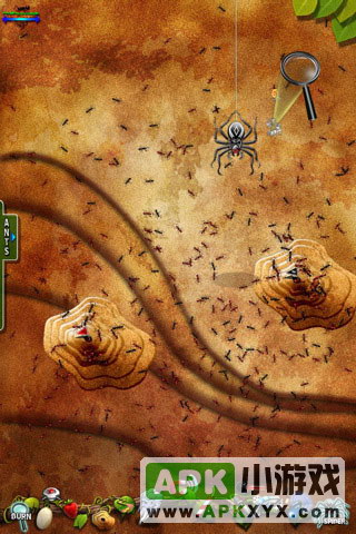 口袋蚂蚁:Pocket Ants
