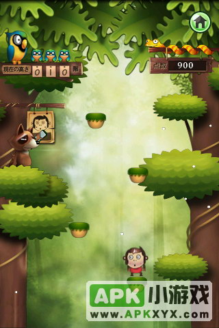 丛林猴子：Jungle Monkees