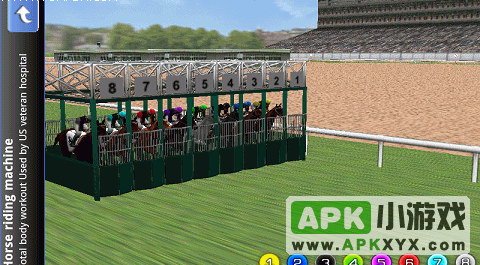 3D赛马:Virtual Horse Racing 3D