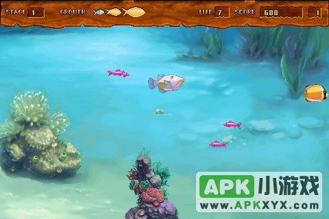 疯狂的小鱼：Crazy Fish