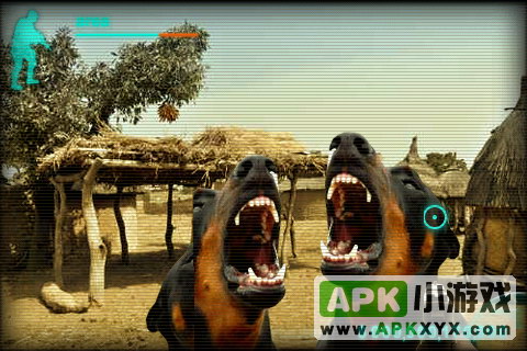 非洲行动：Guerilla African Operations
