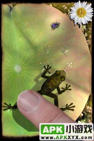 青蛙捕虫：Ancient Frog