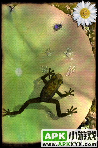 青蛙捕虫：Ancient Frog