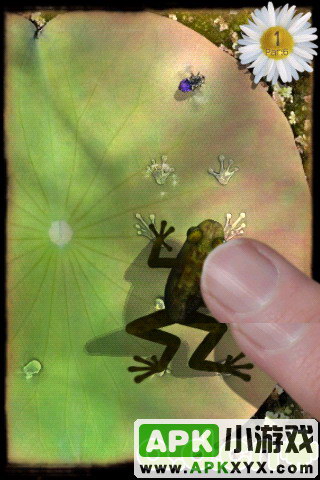 青蛙捕虫：Ancient Frog