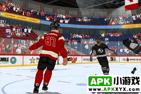 冰球格斗:Hockey Fight Pro