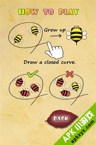 蜜蜂圈圈:Bugs Circle