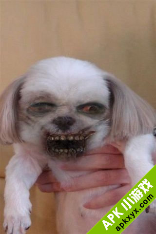 变脸僵尸:ZombieBooth