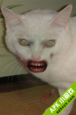 变脸僵尸:ZombieBooth