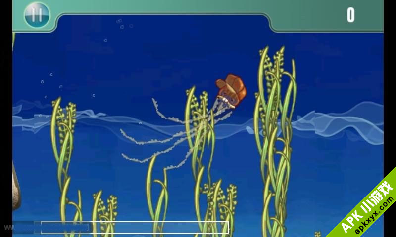 水母进城:Redneck Jellyfish