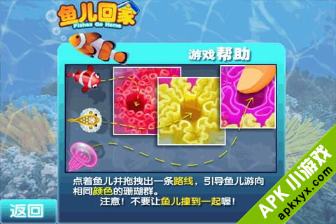 鱼儿回家
