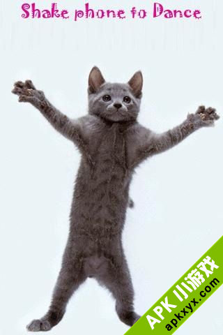 跳舞猫：Dancing Cat