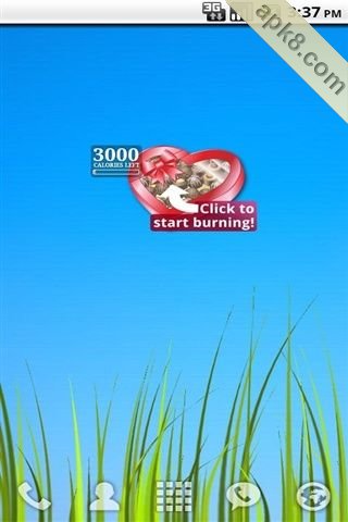 情人节减肥