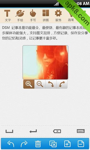 DSM记事本