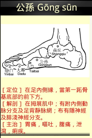 按摩穴位图