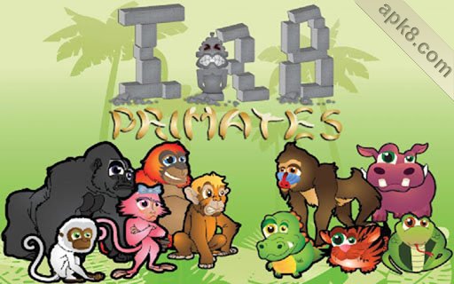 猴子香蕉：IR8 Primates