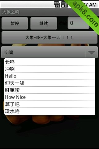 大象之鸣