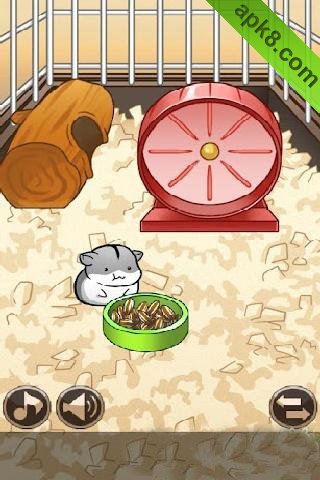 仓鼠的日常:Hamster Life