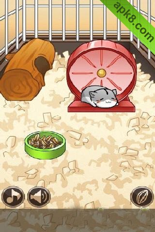 仓鼠的日常:Hamster Life