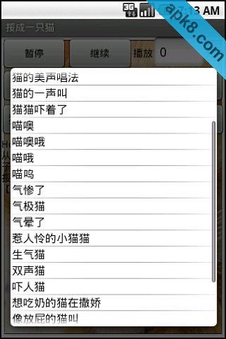 多嘴大脸猫