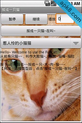 多嘴大脸猫