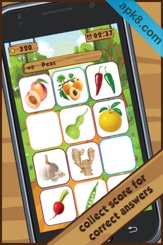 看图识水果 高清版:Fruit Find
