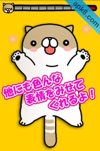 抚摸猫