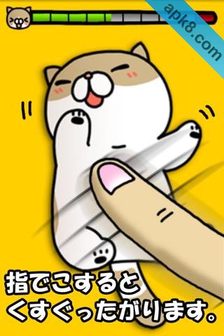 抚摸猫