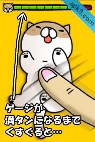 抚摸猫