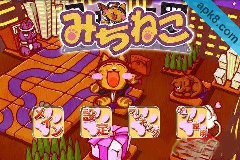 迷路猫