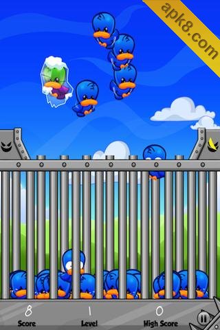 抓小鸟 高清版:Bird Catch Pro