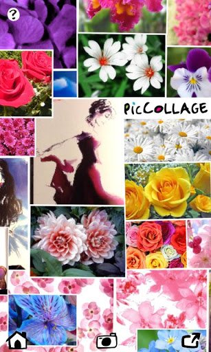 美图拼贴:Pic Collage