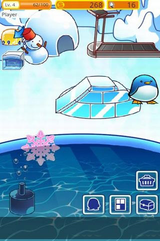 企鹅的日常生活:Penguin Life