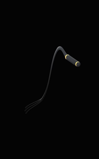 黑色皮鞭：Black Whip