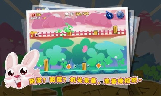 兔小强