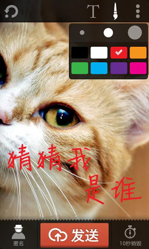 咔嚓