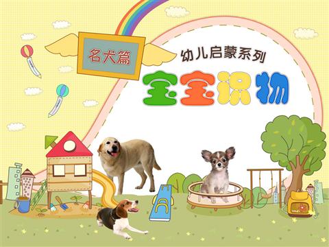 宝宝认知之识别小狗品种大全