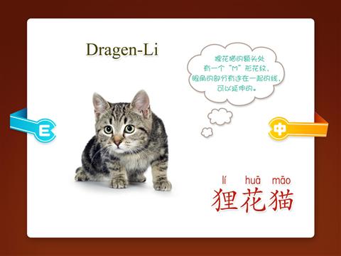 启蒙认知名猫篇