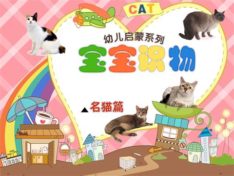 启蒙认知名猫篇