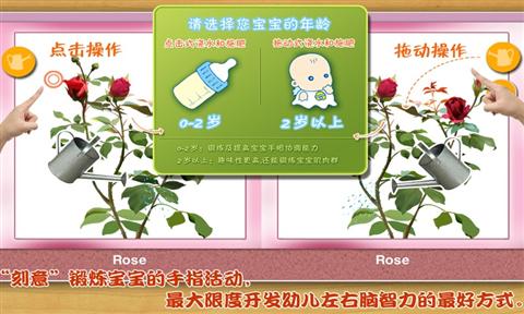 宝宝种鲜花
