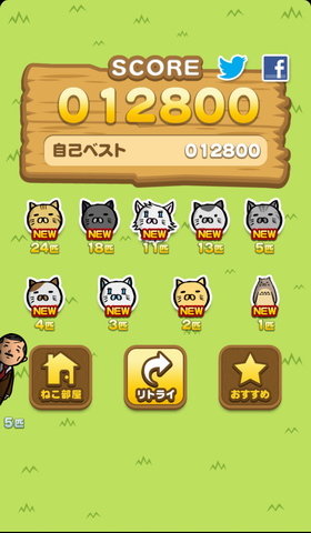 抓小猫