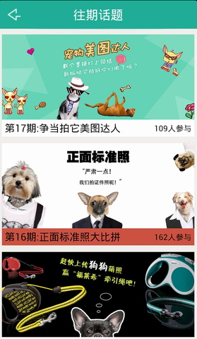 拍它