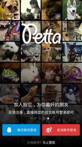拍它