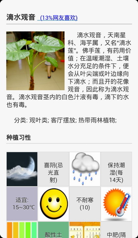 花世界