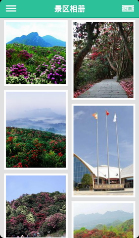 贵州百里杜鹃风景区