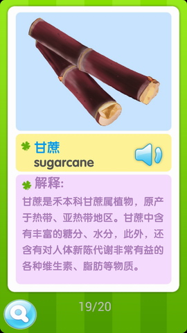 儿童生活知识小百科