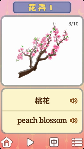 儿童卡片阅读识花木