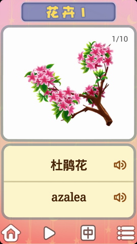儿童卡片阅读识花木