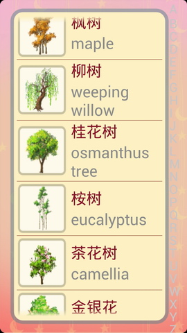 儿童卡片阅读识花木